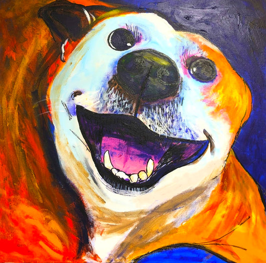 Pet Portraits